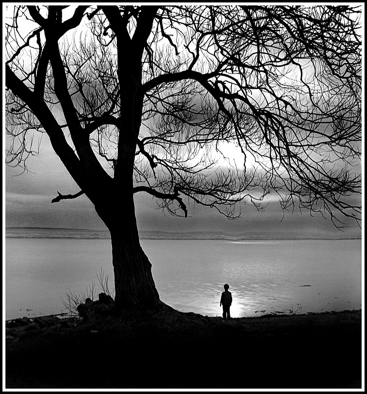 Photograph of a person standing by a tree